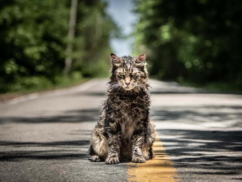 Forum Cinemas - Pet Sematary